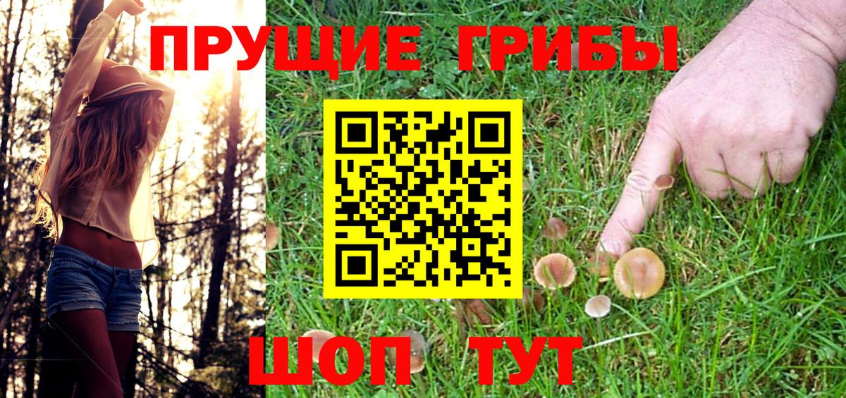 Псилоцибиновые грибы Psilocybine cubensis Липецк