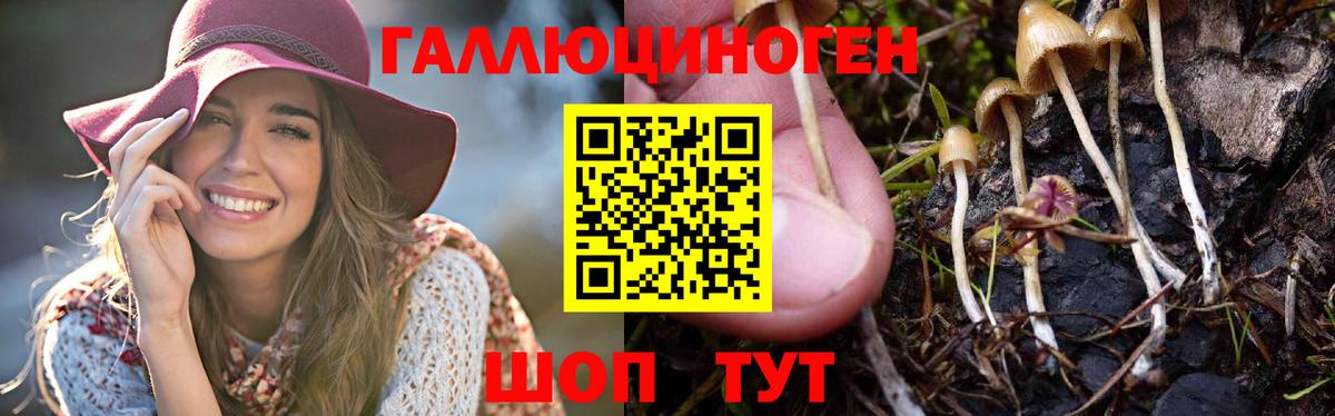 Липецк  Галлюциногенные грибы Magic Shrooms  Вход с VPN 